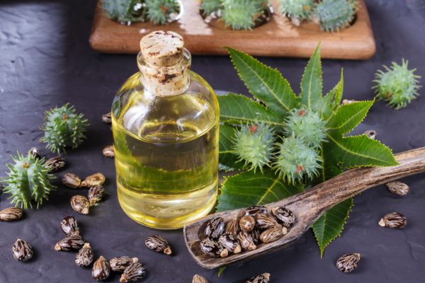 Castor Oil Plant and Bottle